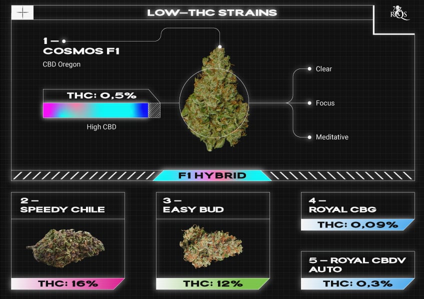 Top RQS Low THC Strains Top RQS Low THC Strains