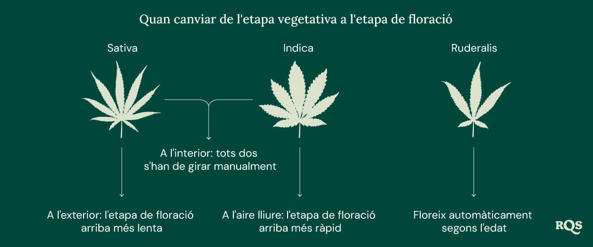Switch ve to flowering Switch ve to flowering